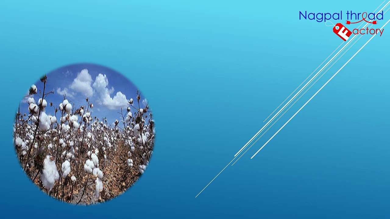 cotton yarn manufacturers and suppliers