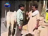 Dailymotion Pakistani Funny Video 3 a Funny video rel page 2 rel page 2 Funny.Very