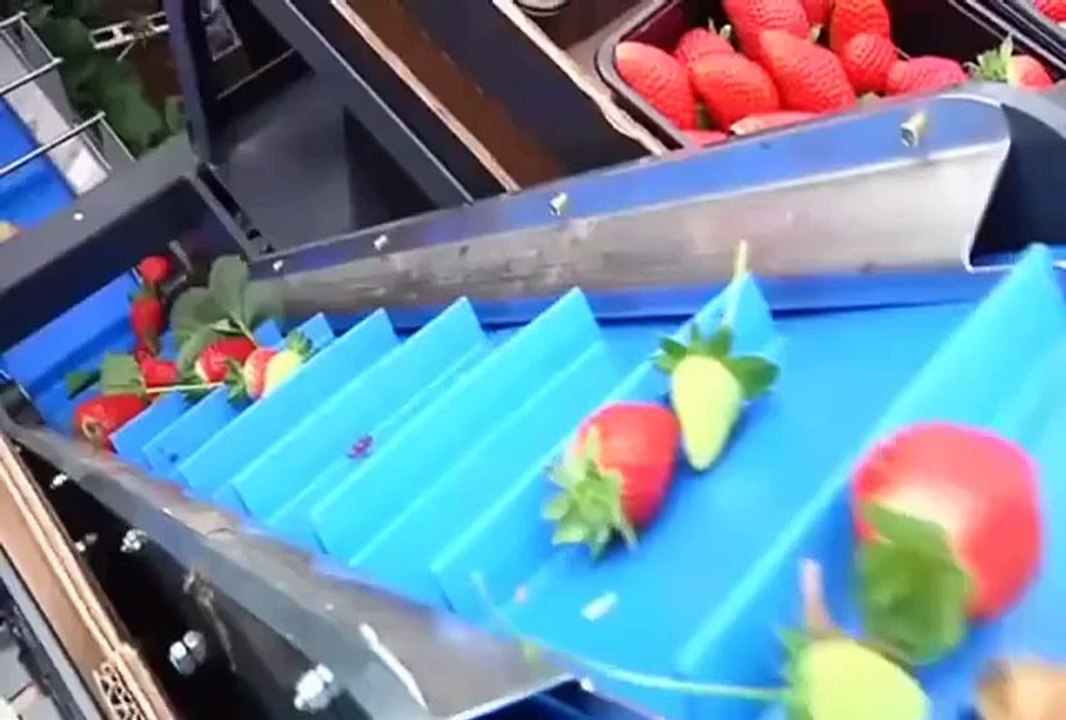 Honestly those machines are a waste of money because they cut everything even if its not ready. There's no quality in th