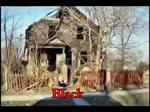 Detroit Before Blacks, After Blacks