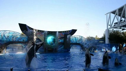 Louisiana-Bahamas-Florida 2014, jour 16 : Sea World