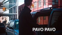 Pavo Pavo - Annie Hall (Live)