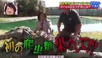 Funny Japanese Pranks Humans vs Crocodile (  Engsub ) |  Funny Japanese TV Show