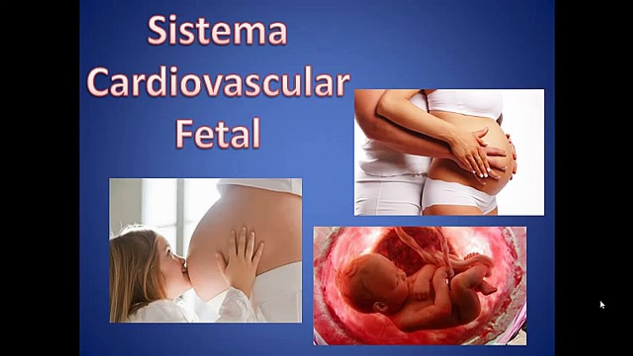 Circulación Fetal y Posnatal