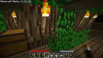 Lets Play Minecraft Episode 9 : Torches Torches Everywhere!