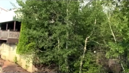 zoo de saint félicien 2015