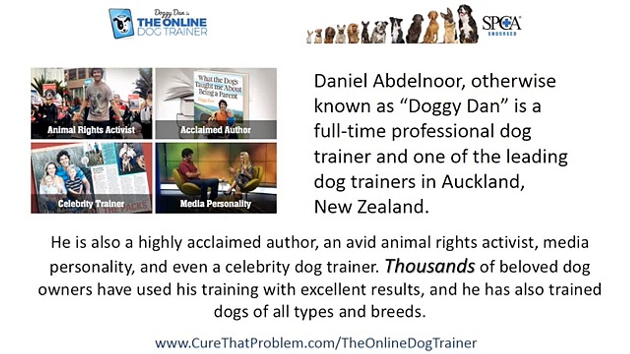 Online Dog Training - Doggy Dan The Online Dog Trainer
