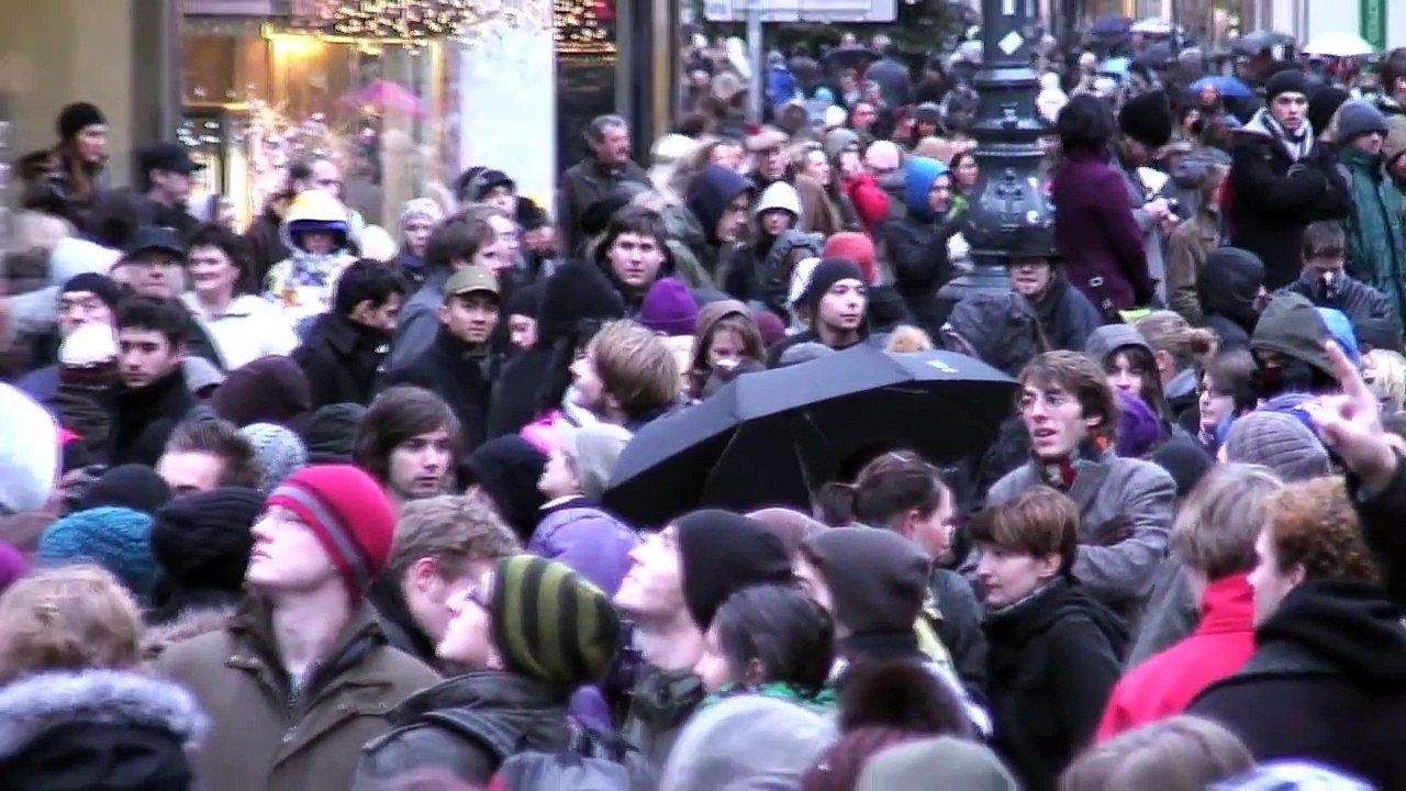 FREEZE VIENNA High Quality
