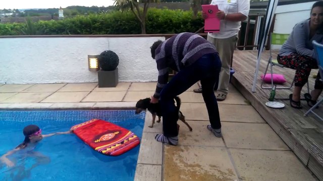Water-Loving Dog Tries His Paw at Surfing