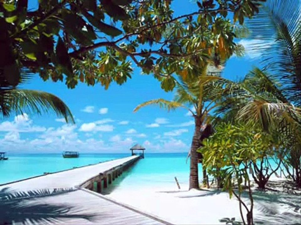 Shaykh Abdul Wali Al-Arkani - Surah Mulk