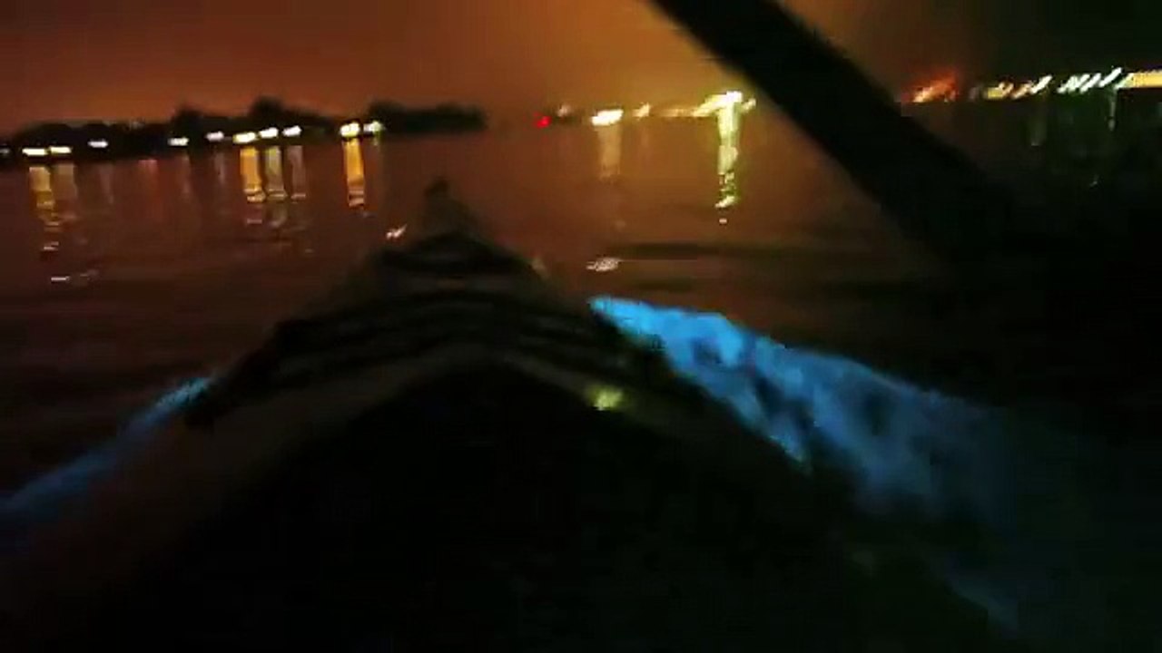 Bioluminescent kayaking in San Diego Mission Bay