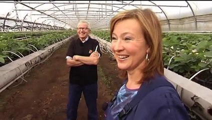 Cunera, iedere zondag - RTV Noord