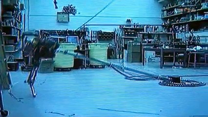 Das Netz - Lutz Dammbeck 4/12