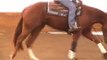 Reining Horse For Sale - Elans Chic Elaine - Reining futurity prospect