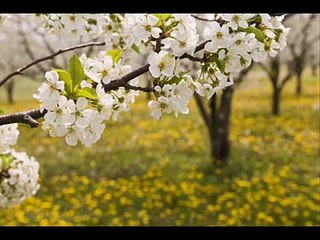 Oru Naalil Valkai Engum Odathu
