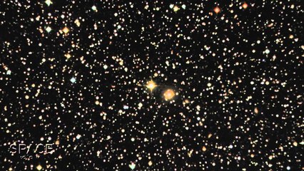 Neptune-Size Exoplanet Has Clear Skies, Water Vapor | Video