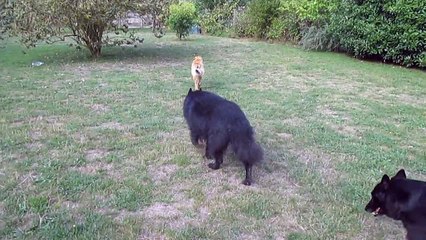 Lara (presque 5 mois)