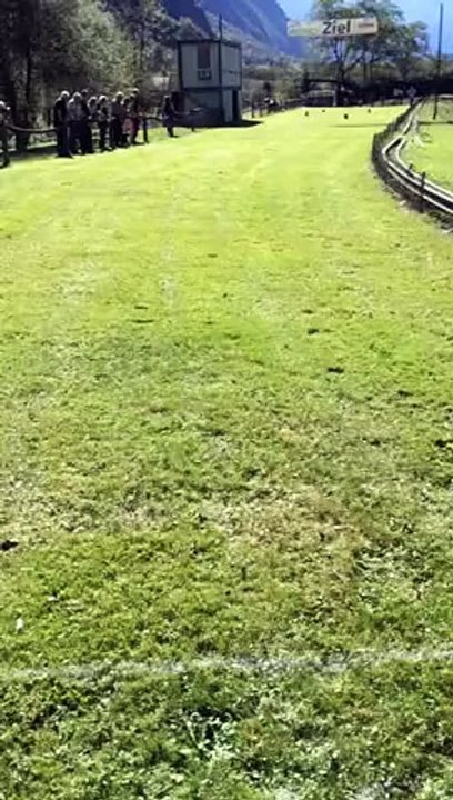 Kruchony beim Dackelrennen in Lostallo/GR CH, September 2014