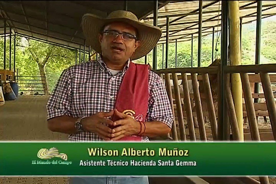 18 de agosto de 2015 Santa Gemma