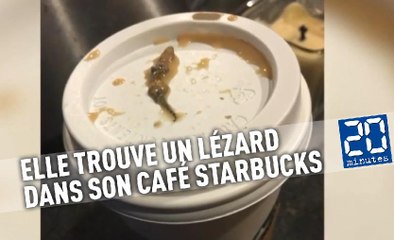 Elle trouve un lézard dans son café Starbucks