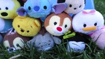 TSUM TSUM Disney Parody with Mickey Mouse, Donald Duck, Goofy and other Disney Tsum Tsum