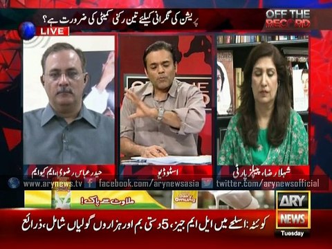 Rizvi calls for complete investigation of assassination attempt on Godil