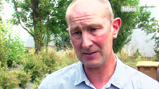 Marché du porc Pas un bon signal pour les éleveurs