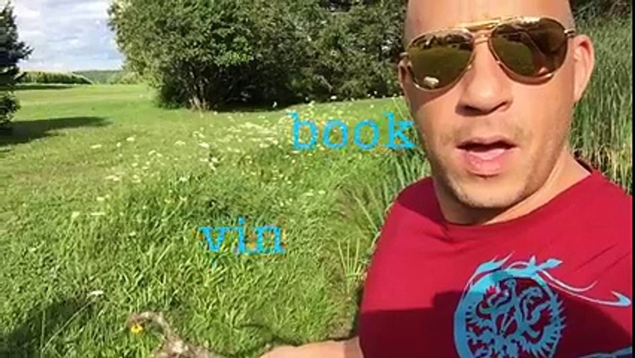 vin diesel fun mood
