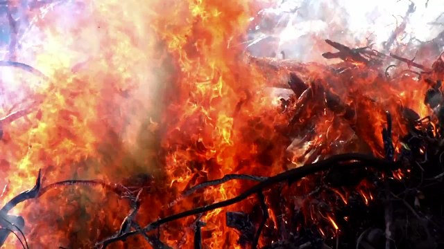 Armada Team Riders Givin It.