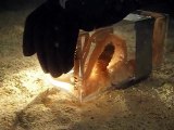 Octopus escaping through a 1 inch diameter hole