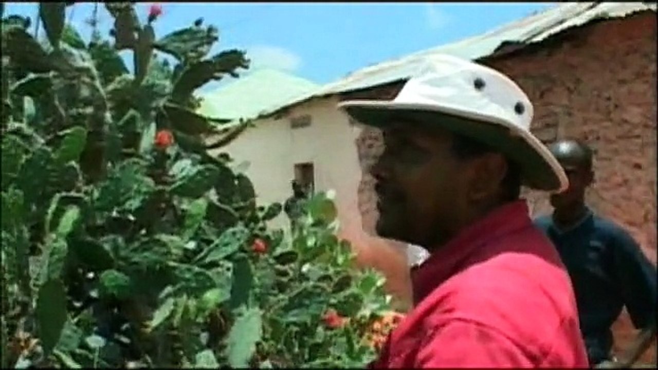 Places That Don't Exist #1 - Somaliland