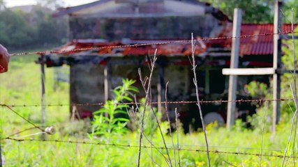 Angst: Radical, Raw, and Free Creative Hub 🌊