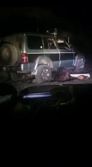 Terrifying Moment: Bear is stuck under SUV then goes crazy and attacks everything...