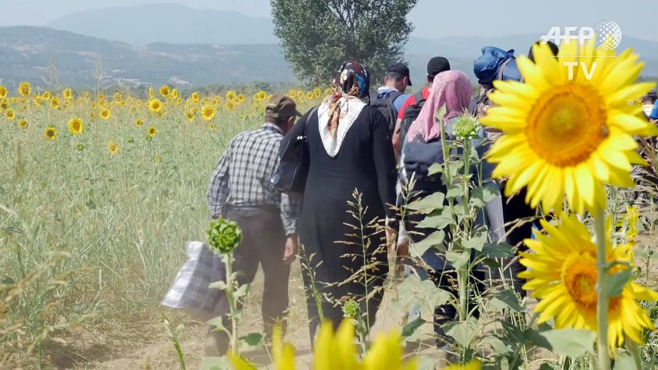 Flüchtlings-Ansturm an mazedonischer Grenze