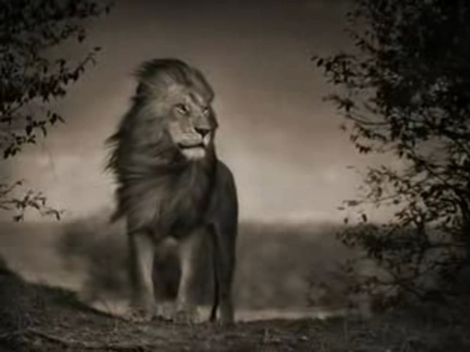 Come Thou Fount of... by Sufjan Stevens