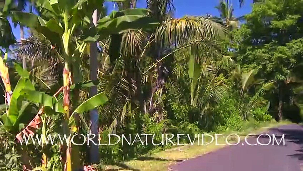 Virtual Walk Dvd - Fitness Journeys  Tropical Scenery - Mountain Sea Views Track