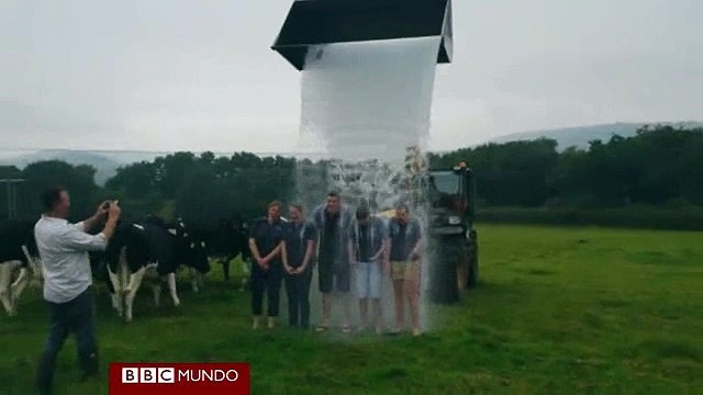 Reino Unido: Curiosa propuesta de productores lácteos [VIDEO]