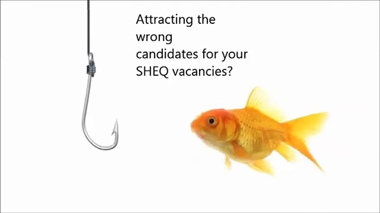 LUCKYFISH - SHEQ Placements Africa