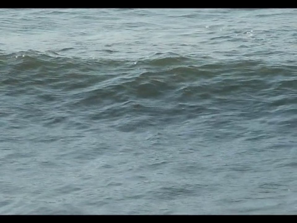Vacances surf à Lacanau ?  Surfer de grosses vagues ?  Eté Plage en Gironde