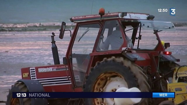 Le littoral normand veille sur la propreté des plages