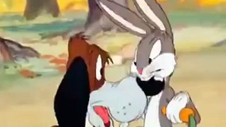 Bugs Bunny Episode 10   Cartoon Full Episode