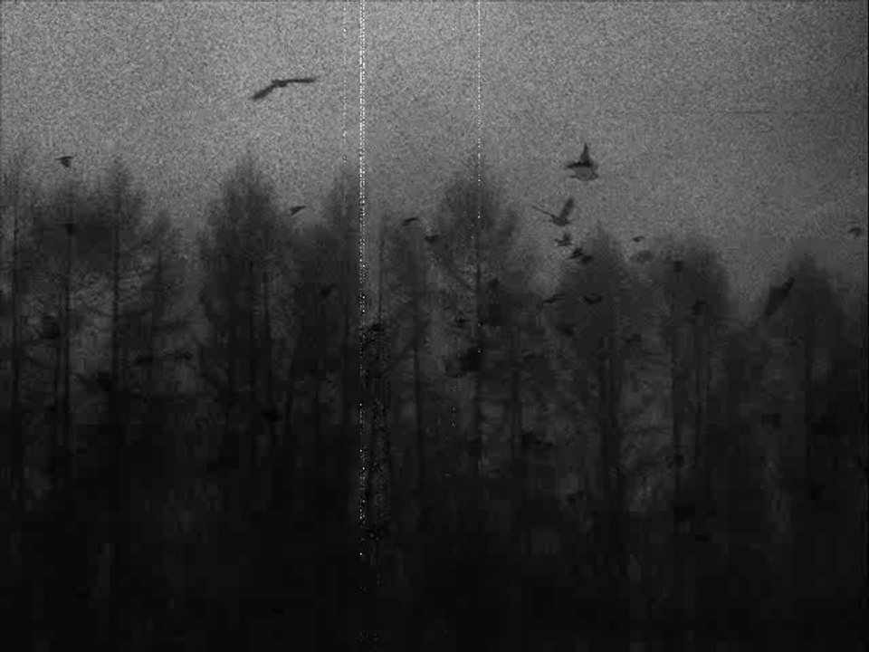 Vicious Circle - Indolence Chronique