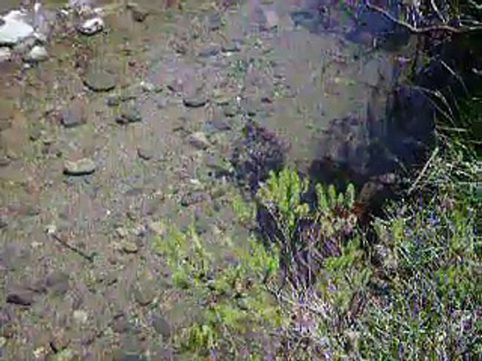 Río Calabalumba
