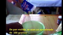 Pasta para crías de Canarios.