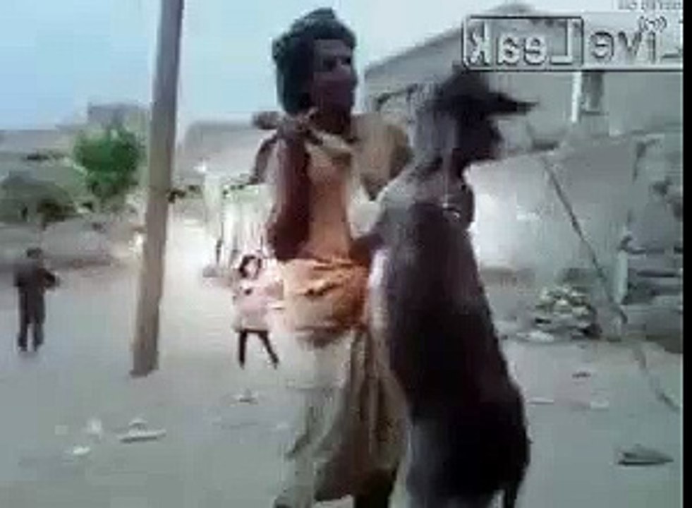Funny Arab as Usual