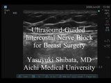 Ultrasound-Guided Intercostal Nerve Block for Breast Surgery