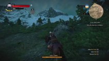 The Witcher 3: Wild Hunt- Funny  Roach 2