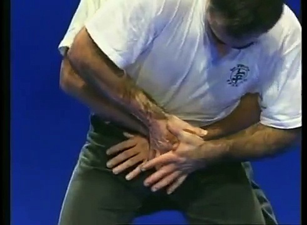 Tutorial Krav Maga Techniques
