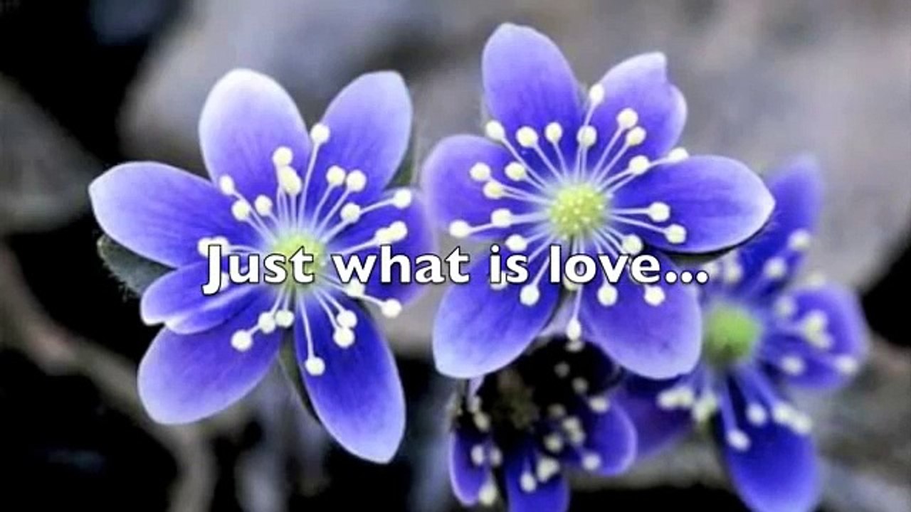 Photographs and memories Jason Reeves lyrics