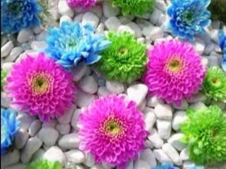 OST Wafa Ka Wadah Hai Kis Nay ToRa (HQ Audio)